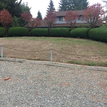 Pacific Tree Service - Shaping bushes for a customer in Kent, WA - Tree Services Near Me - Kent, Washington