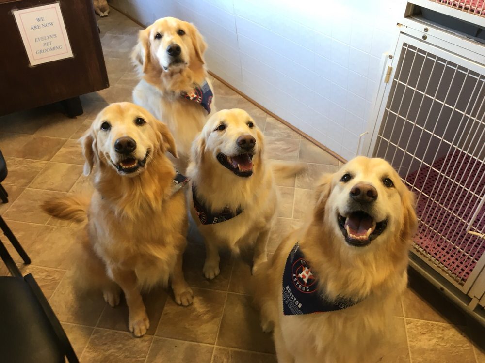 EVELYN’S PET GROOMING Updated August 2024 13 Photos 622 Park St, Highlands, Texas Pet