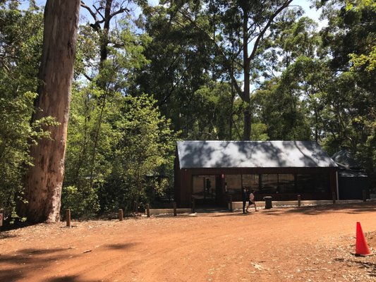 Mammoth Cave by null