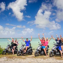 Cheri's Travel Spot - Scooter Gang