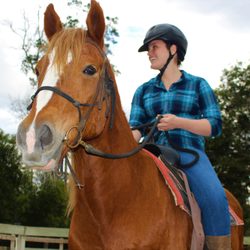 Henry's Home Horse and Human Sanctuary