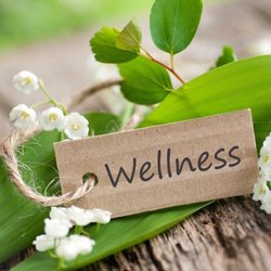 Nature's Secret CBD - Protect your health. CBD is a natural pain reliever, stress and anxiety reliever, sleep aid and much more, without harmful side effects.