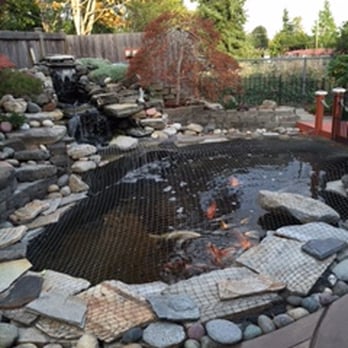 Nguyen Landscaping and Construction - Large back yard koi's pond - Landscaping Near Me Nguyen Landscaping and Construction - Large back yard koi's pond - Landscaping Near Me