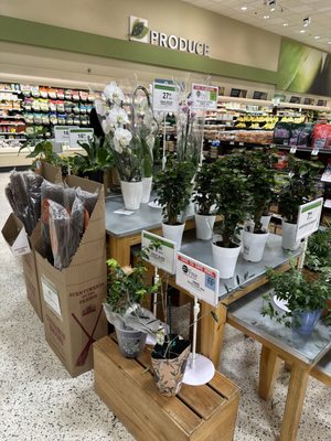 Publix Super Market at Mt. Zion by null