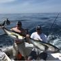 Photo of Hit List Sportfishing