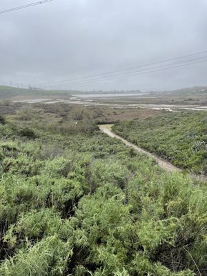 Agua Hedionda Lagoon Foundation (Discovery Center) by null