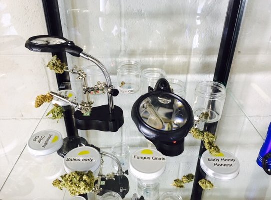 The Coffee Joint Cannabis Lounge by null