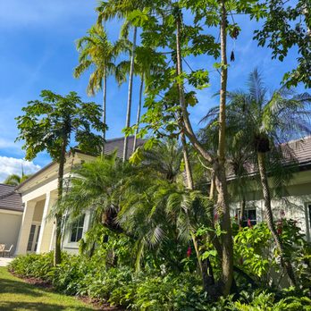 PHB Landscaping & Nursery - Landscaping Near Me - Miami, Florida PHB Landscaping & Nursery - Landscaping Near Me - Miami, Florida