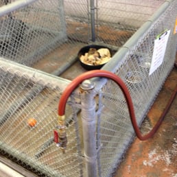 Puppy kennel puppies in the corner and the hose they use to spray down the puppies and the kennels. Puppy kennel puppies in the corner and the hose they use to spray down the puppies and the kennels.