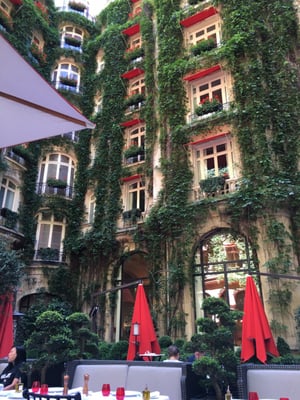 La Cour Jardin by null