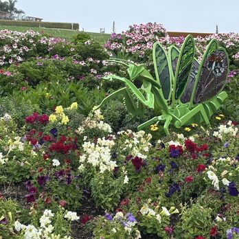 The Flower Fields - Venues & Event Spaces Near Me - Carlsbad, California