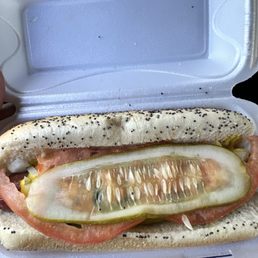"Chicago Style Hot Dog"