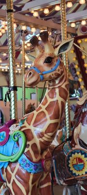 Salem's Riverfront Carousel by null