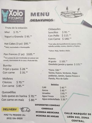 Menu photo 4 Xoloitzcuintle La Paz, BCS