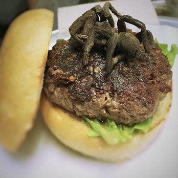 Shake Shack - Tarantula in burger tragedy - Burgers Near Me - Los Angeles, California Shake Shack - Tarantula in burger tragedy - Burgers Near Me - Los Angeles, California