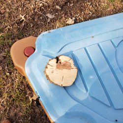 Branch Managers Tree Service - The disk of wood left on my daughters sand table.