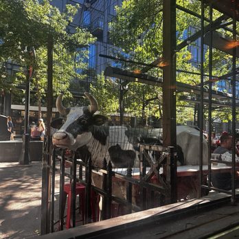 State Street Brats - Cow table outside - American Near Me - Madison, Wisconsin State Street Brats - Cow table outside - American Near Me - Madison, Wisconsin