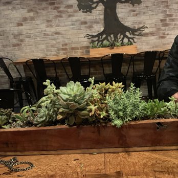 Oak & Iron - cute succulent planter - Cocktail Bars Near Me - Thousand Oaks, California Oak & Iron - cute succulent planter - Cocktail Bars Near Me - Thousand Oaks, California
