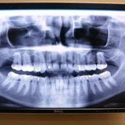 Jeffrey A Stolarz, DDS - Untitled