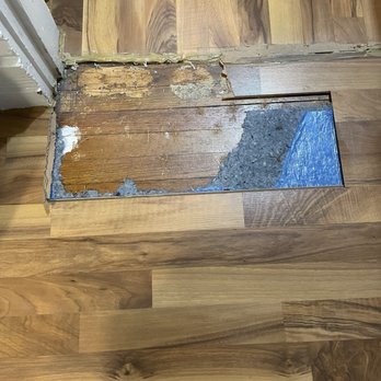 GS Floor Design - This is what the floor guy took up to make his judgment. - Flooring Near Me - Arlington Heights, Illinois GS Floor Design - This is what the floor guy took up to make his judgment. - Flooring Near Me - Arlington Heights, Illinois