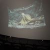 Heikoff Giant Dome Theater gift card