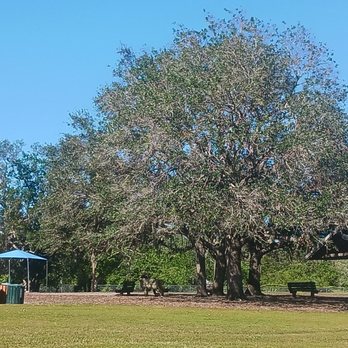 17th Street Dog Park - A big giant tree with a nice seating area underneath it - Dog Parks Near Me - Sarasota, Florida 17th Street Dog Park - A big giant tree with a nice seating area underneath it - Dog Parks Near Me - Sarasota, Florida