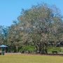 Photo of 17th Street Dog Park