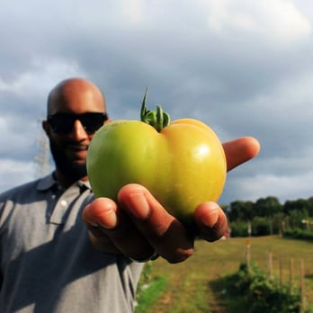 Riamede Farm - Pick Your Own Farms Near Me - Chester, New Jersey Riamede Farm - Pick Your Own Farms Near Me - Chester, New Jersey