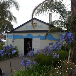 Blue Dolphin Swim Centre
