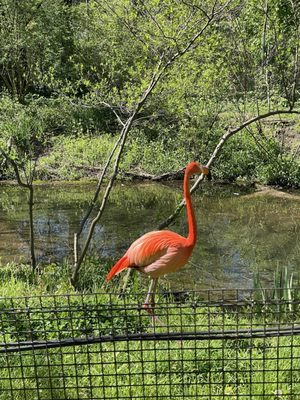 Pittsburgh Zoo & Aquarium by null