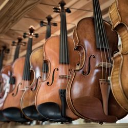 Sola Violins