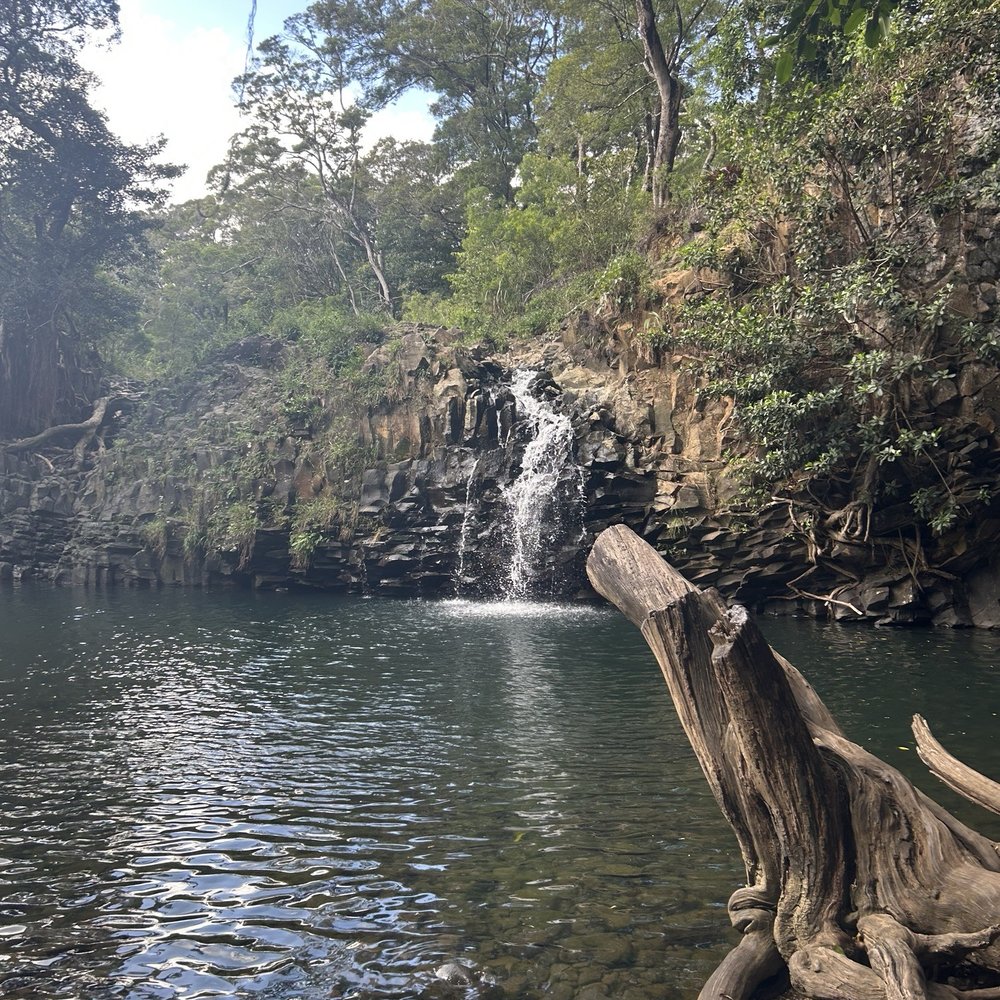 Lower falls (12.01.25) Lower falls (12.01.25)