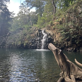 Twin Falls Trail - Lower falls (12.01.25) - Hiking Near Me - Haiku, Hawaii