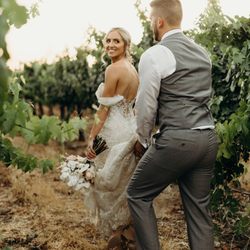 Airola Road Vineyards