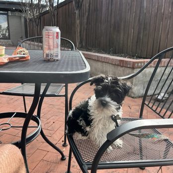Ampersandwich - Very dog friendly patio area. The guy who brought me my sandwich even asked if my dog wanted a bowl of water. - Sandwiches Near Me - Birmingham, Alabama Ampersandwich - Very dog friendly patio area. The guy who brought me my sandwich even asked if my dog wanted a bowl of water. - Sandwiches Near Me - Birmingham, Alabama
