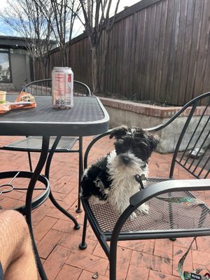 Ampersandwich by null