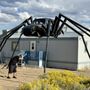 Photo of VW Beetle Spider