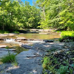 The Woodstock Inn on the Millstream