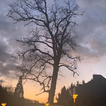 Hotel Château St. Gerlach - Mesmerizing sunset in the palace garden. - Hotels Near Me - Valkenburg, LI