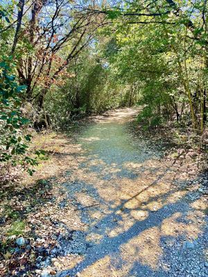 Sculpture Falls by null