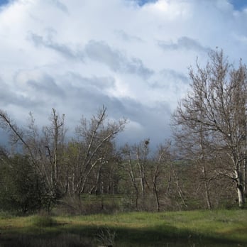 Sycamore Grove Park - Parks Near Me - Livermore, California Sycamore Grove Park - Parks Near Me - Livermore, California