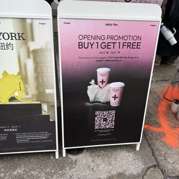 Molly Tea - Bubble Tea Near Me - Flushing, New York