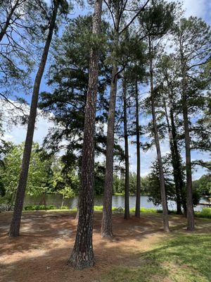 Jolene Family Winery by null