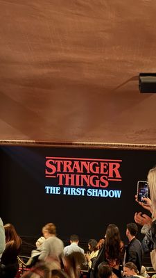 Phoenix Theatre by null