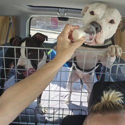 user provided Northgate True Value photo