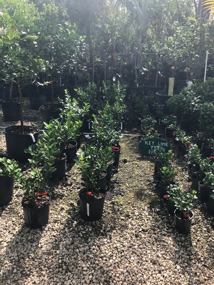 OCTOPUSES GARDEN IN THE SEA Updated August 2024 13 Reviews 30000