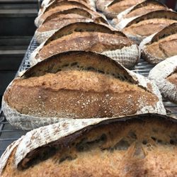 Rockstar Bakers - Rockstar Sourdough