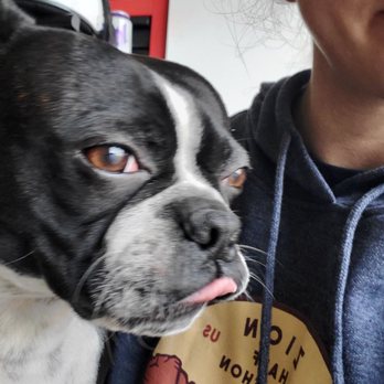 UTV Adventure Tours - Doggie - ATV Rentals/Tours Near Me - Washington, Utah