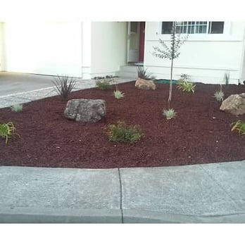 Green Vine Landscaping - Great result! - Landscaping Near Me - Santa Rosa, California