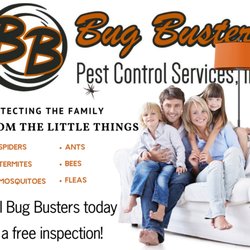 Bug Busters - Your top Choice in pest control